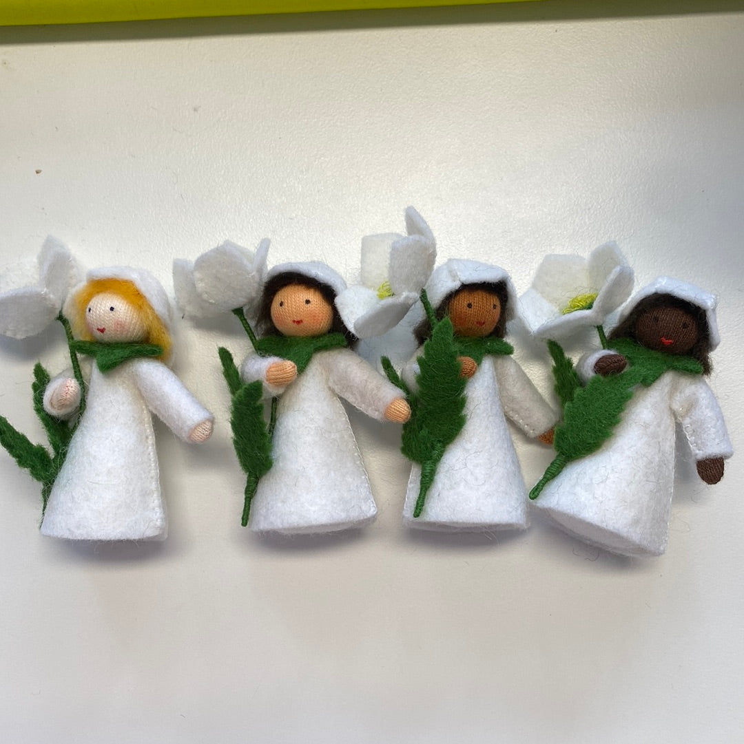 Feetje Christus roos