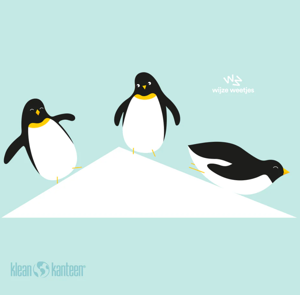 Thermofles 355ml - sport cap - pinguins