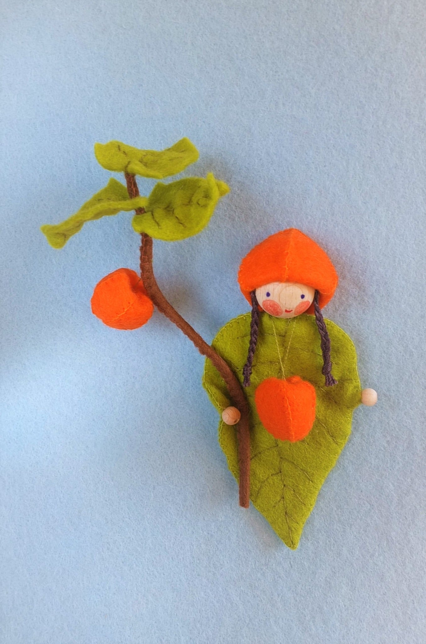 Bladkindje lampionplantje