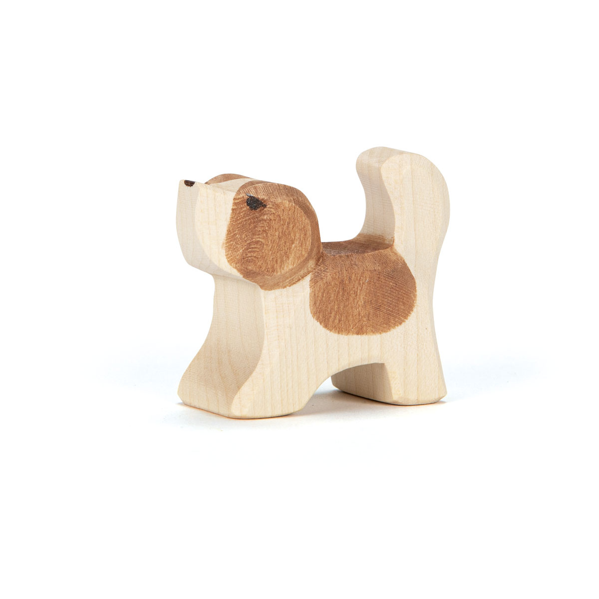 St. Bernhard klein, kop hoog