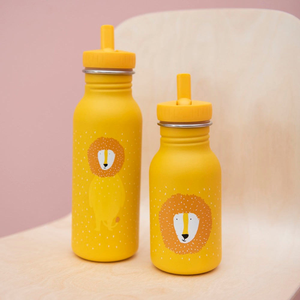 Roestvrij stalen drinkfles 500ml - Mr. Lion