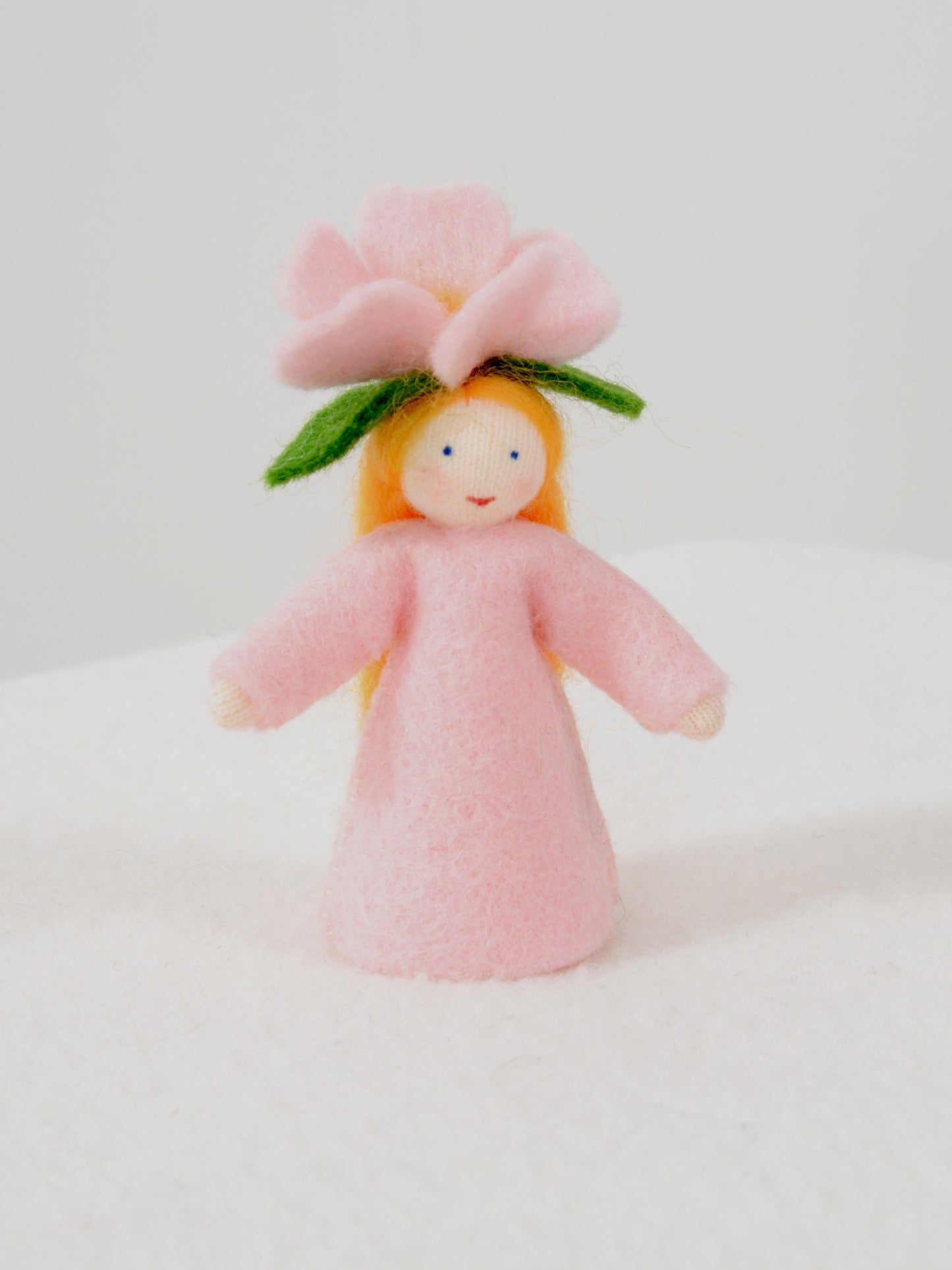 Ambrosius Feetje wilde roos