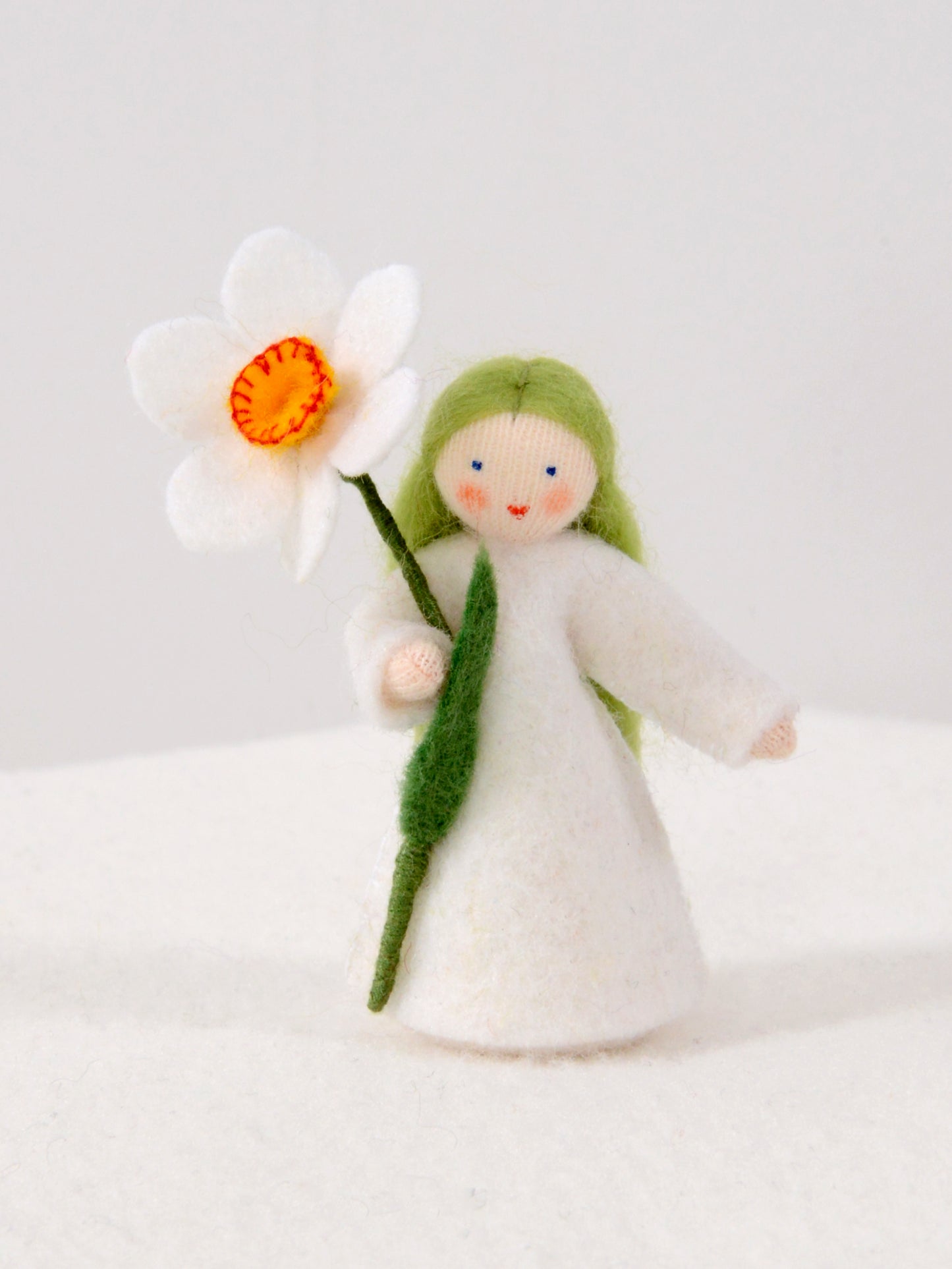 Ambrosius Feetje witte narcis