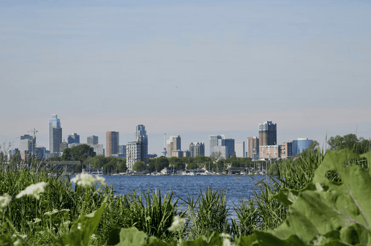 Zomervakantie in Rotterdam | Kralingse Plas