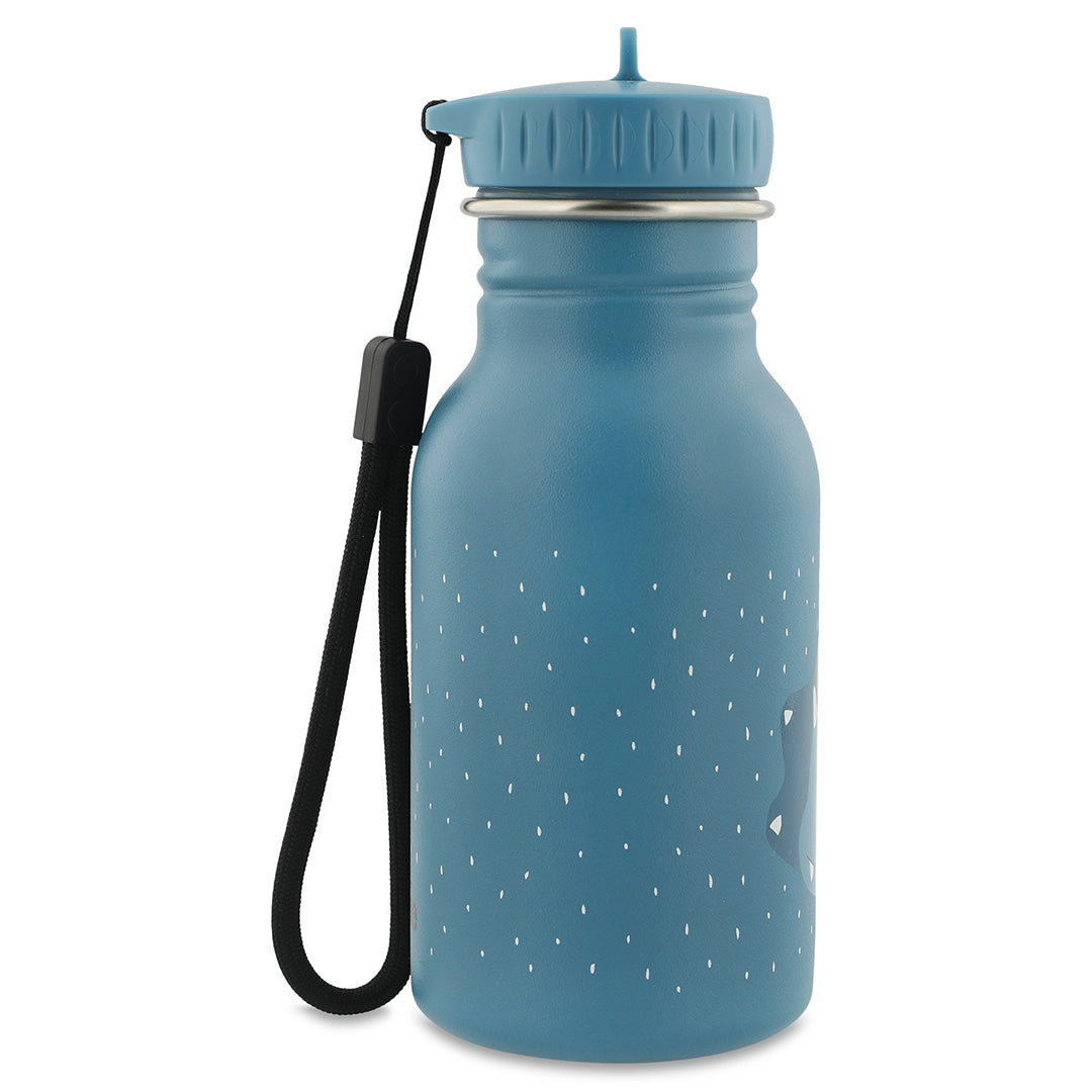 Roestvrij stalen drinkfles 350ml – Mr. Triceratops