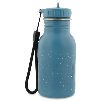 Roestvrij stalen drinkfles 350ml – Mr. Triceratops