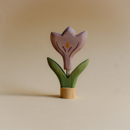 Steker Krokus