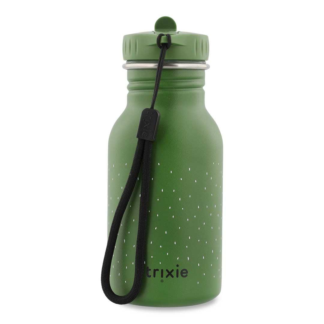 Roestvrij stalen drinkfles 350ml – Mr. Alligator