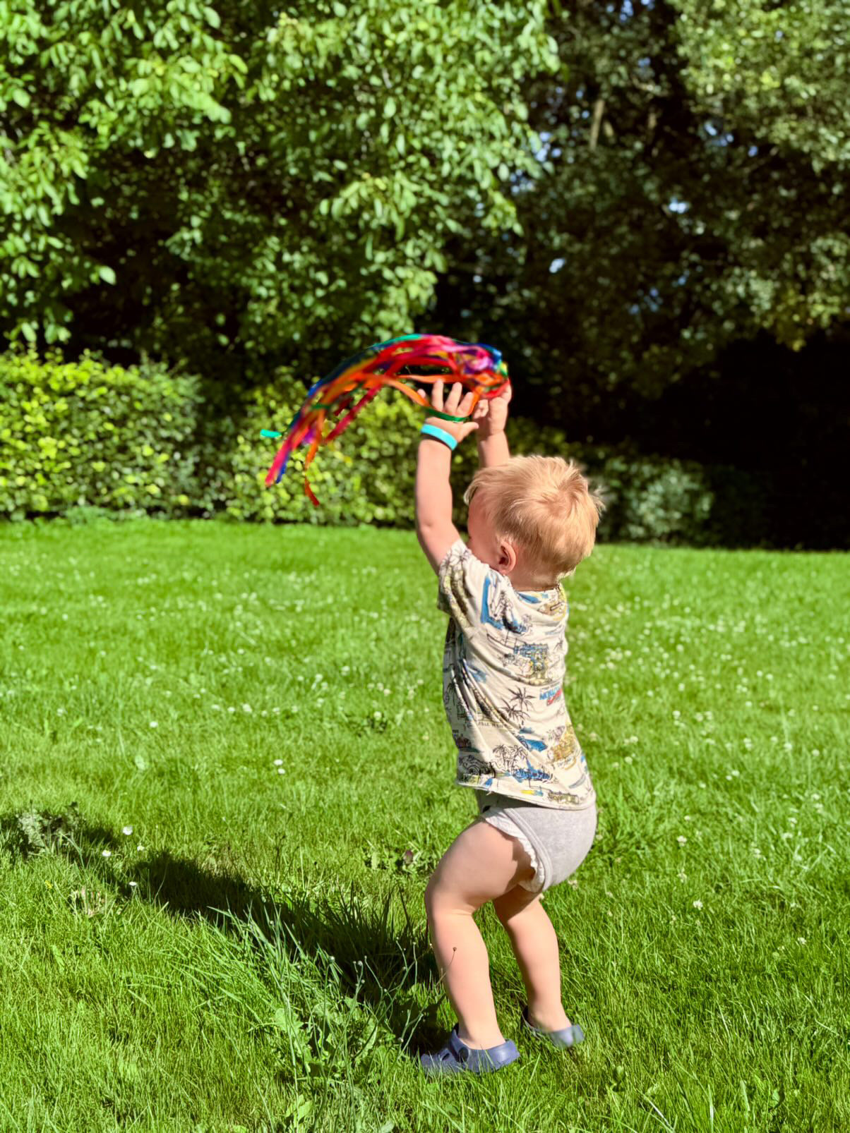 Handvlieger met linten regenboog