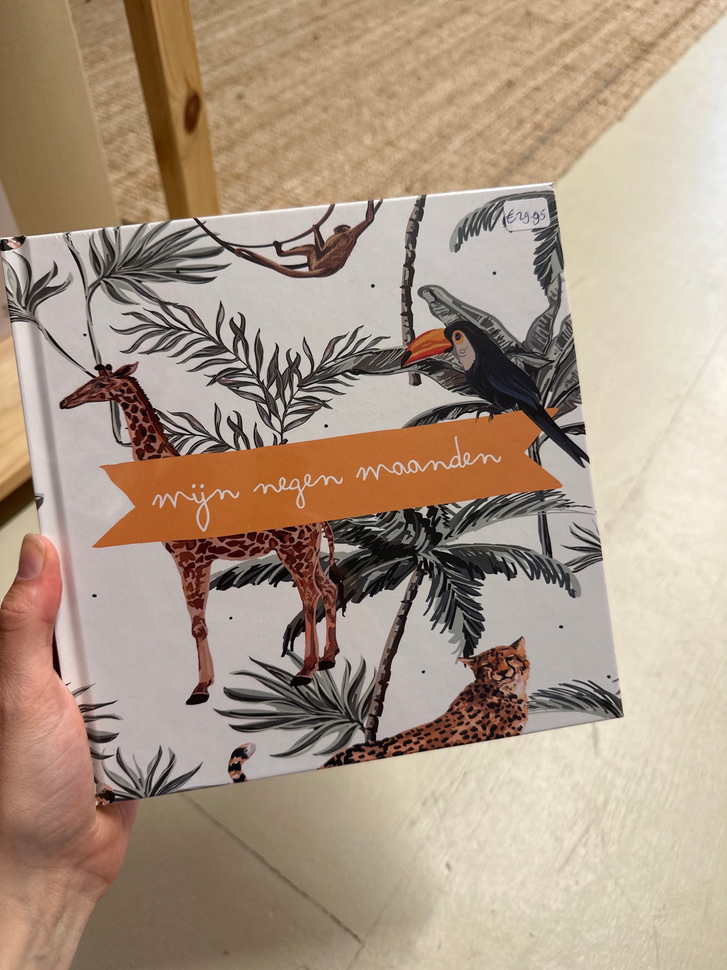 Mijn negen maanden boek