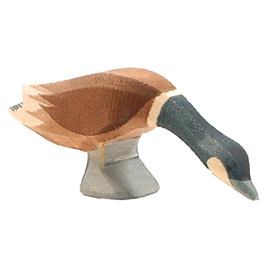 Canadese gans hals lang