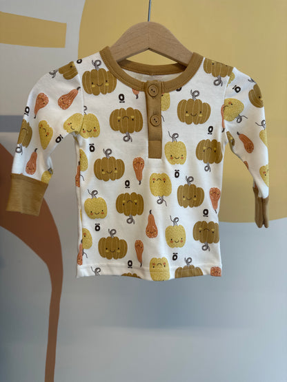 Katvig T-shirt met pompoenen | lange mouw | biologisch katoen