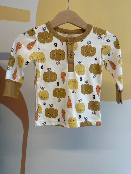 Katvig T-shirt met pompoenen | lange mouw | biologisch katoen