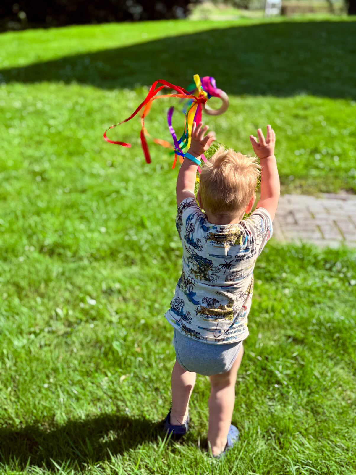 Handvlieger met linten regenboog