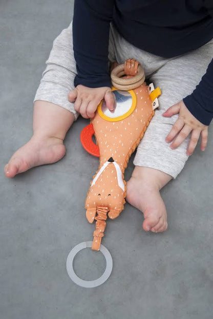 Activiteitenspeeltje Mr Fox