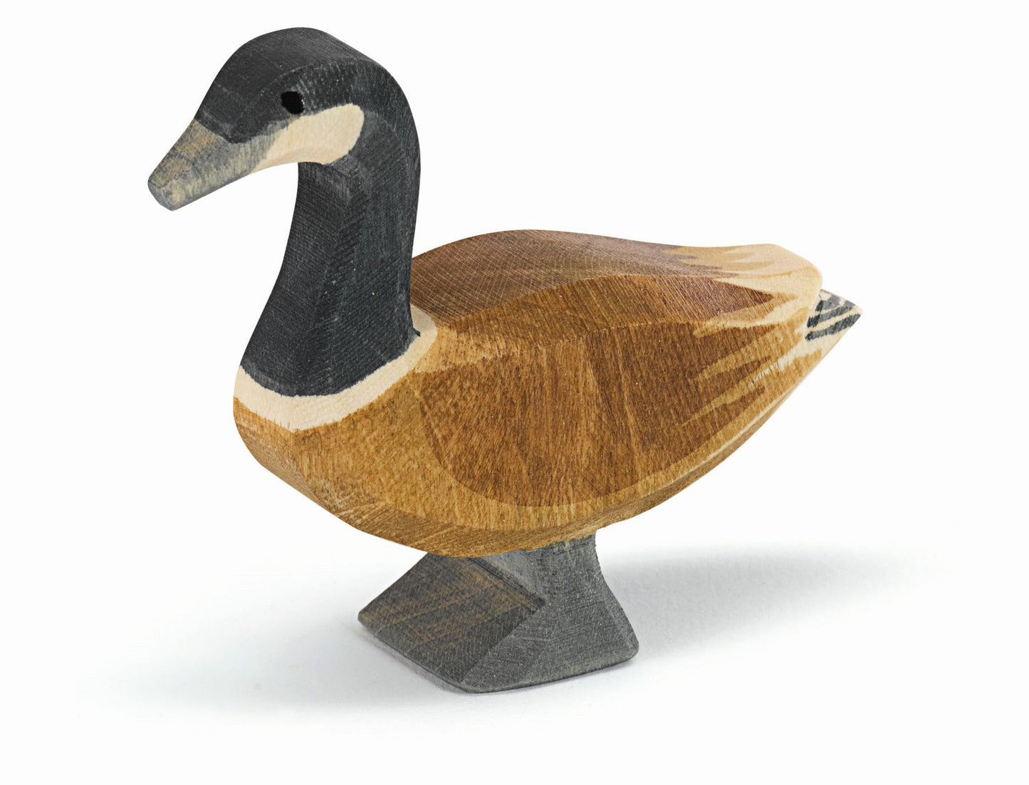 Canadese gans staand