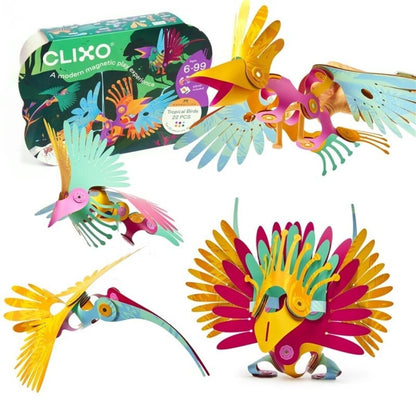 Clixo Tropical Birds Pack magnetisch speelgoed: verpakking met vier gekleurde vogels in verschillende poses - vliegende en staande vogels met bewegend