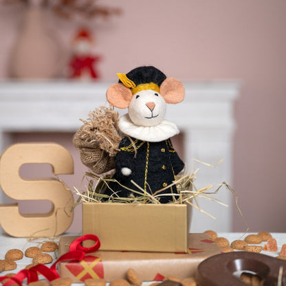 Sjaal met Verhaal decoratie muis Hoofdpiet in zwart jasje, zittend in kartonnen doos met strooisel