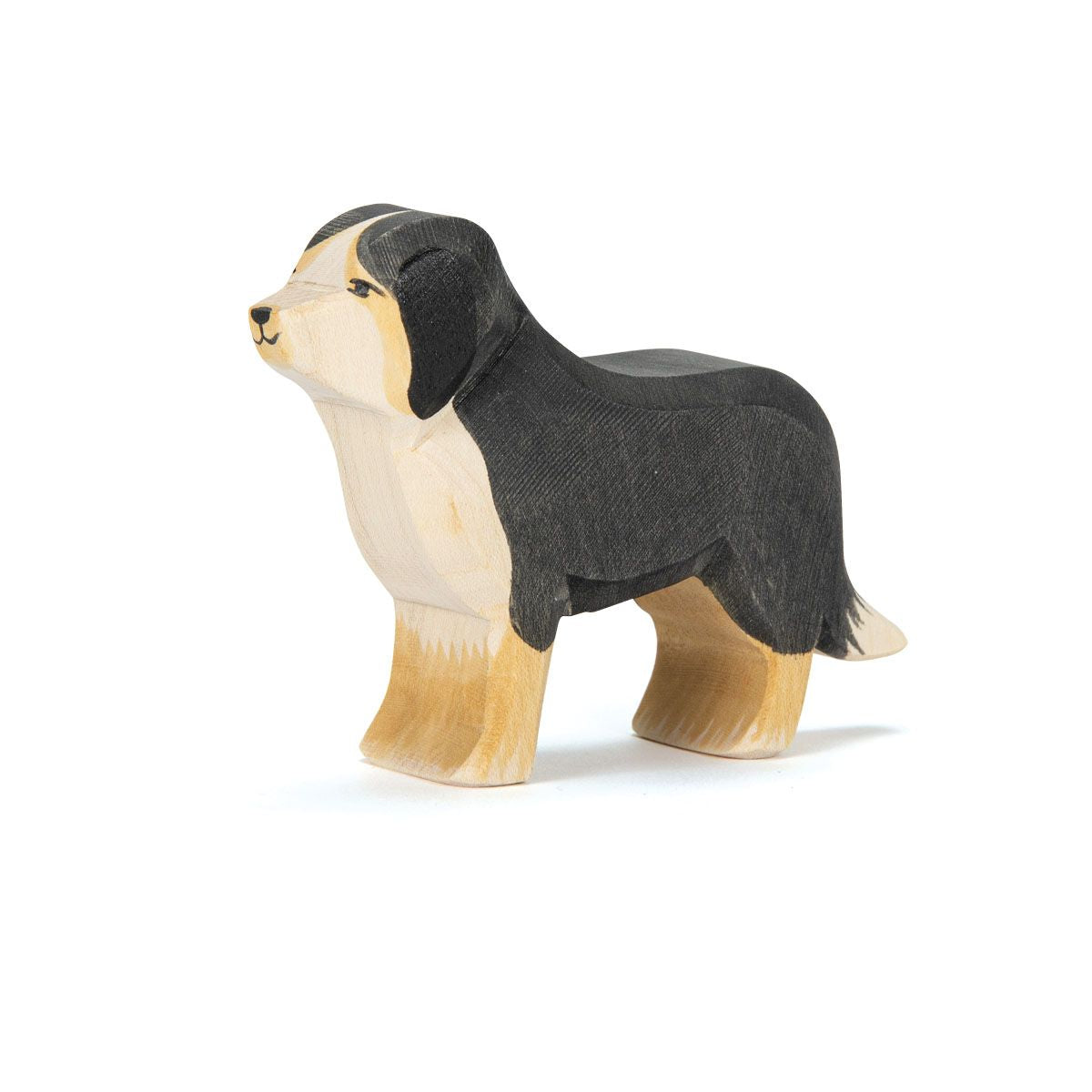 Berner Sennenhond