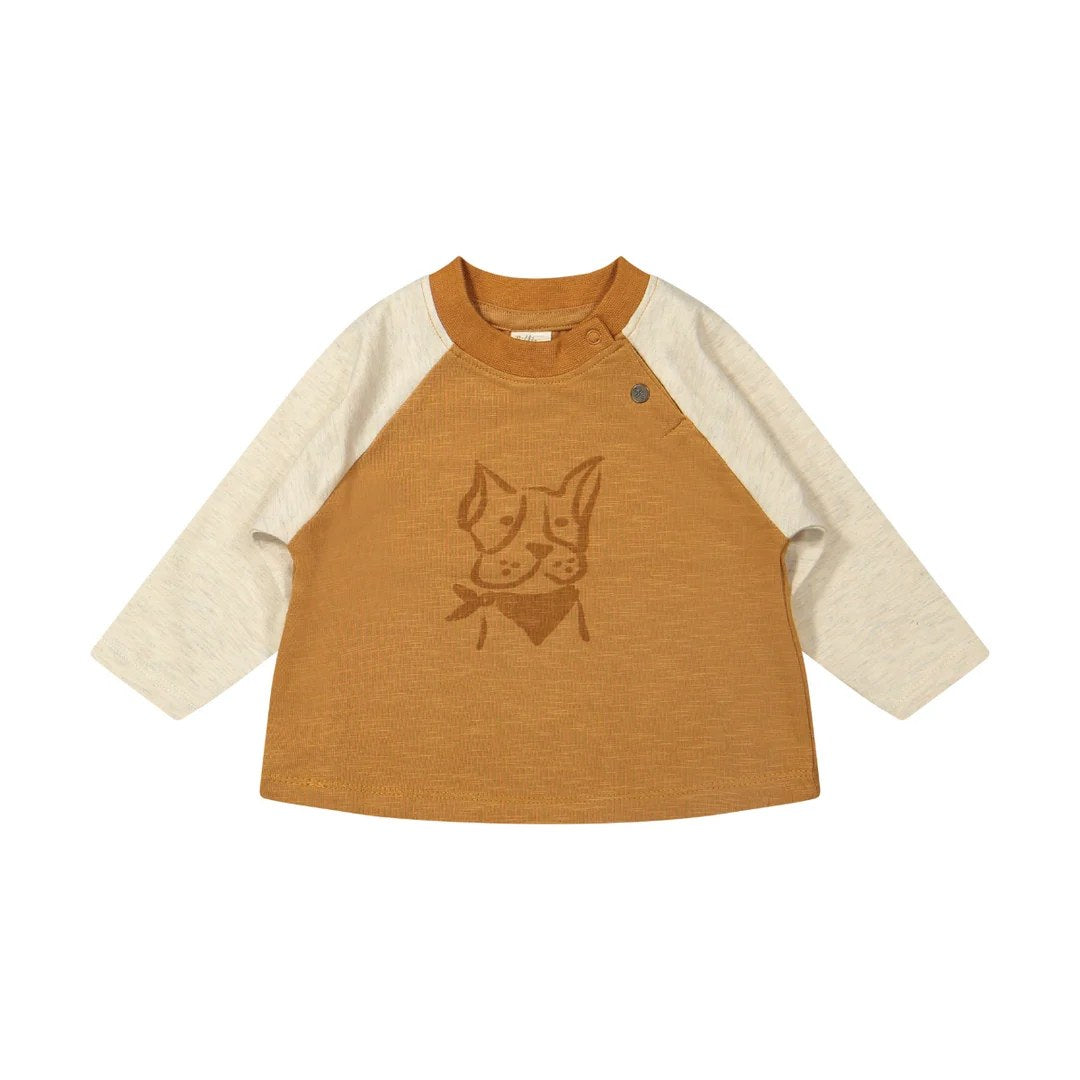 Riffle Amsterdam baby t-shirt met raglanmouwen en hond print, flat lay vooraanzicht op witte achtergrond
