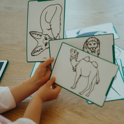 Kidydraw mini Dieren groen