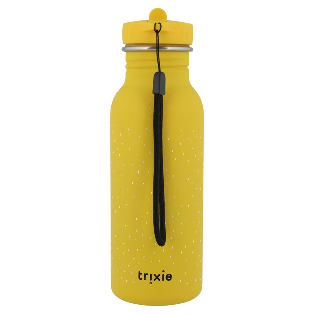 Roestvrij stalen drinkfles 500ml - Mr. Lion