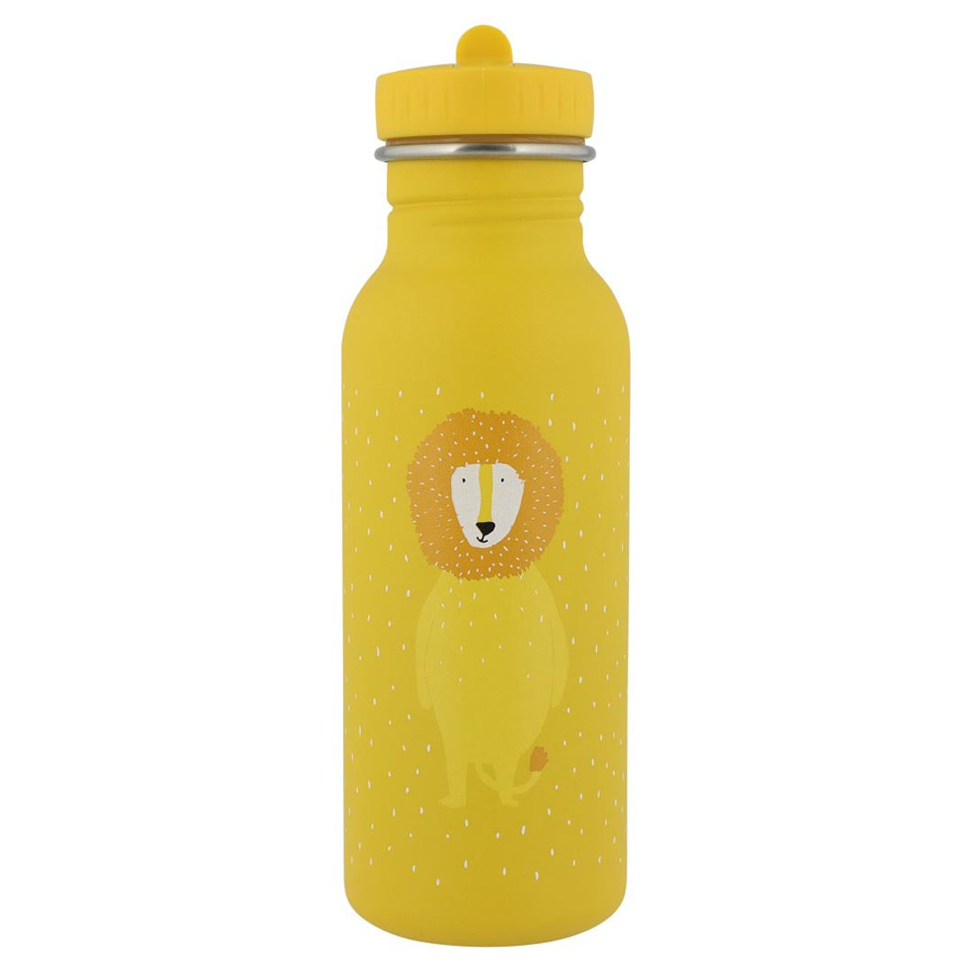 Roestvrij stalen drinkfles 500ml - Mr. Lion