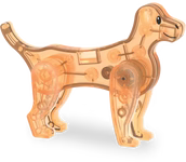 Magnetische tegels - Pet Play House - 50 stuks