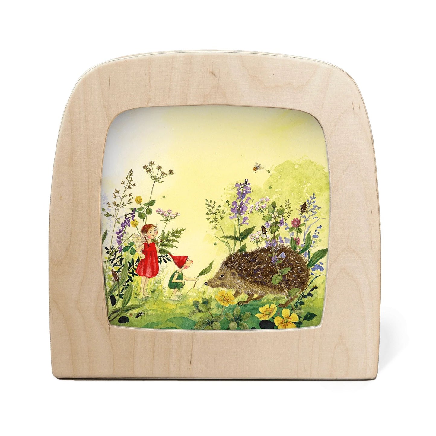 Toverplaat - Daniela Drescher - Egel