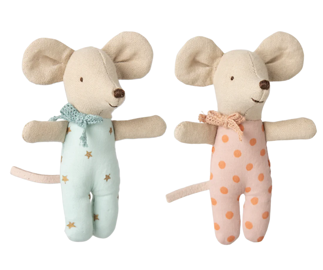 Tweeling baby muisjes in luciferdoosje