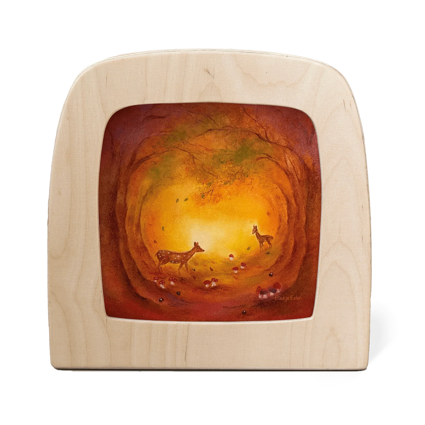 Toverplaat - Baukje Exler - Gouden Uur