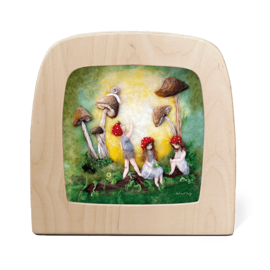 Toverplaat - Het Wol Feetje - Kinderen van het bos