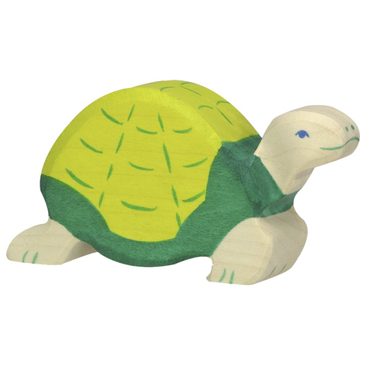 Schildpad groen